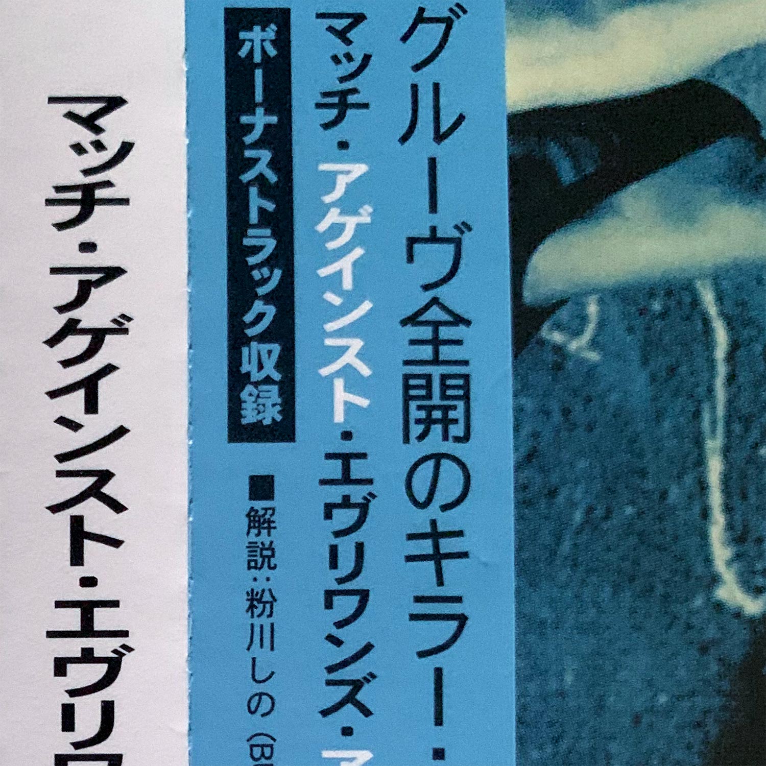 Much Against Everyone’s Advice – the Japanese versions