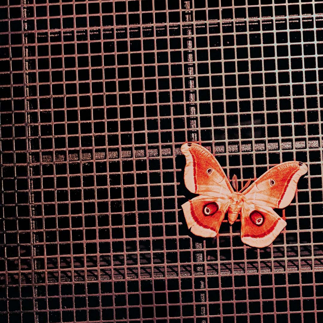 News update: Soulwax tour, MIA’s, Natasha Pirard