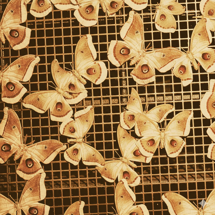 TBT (66): This was 2025